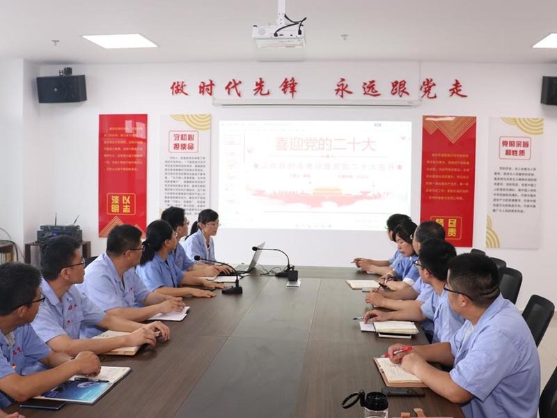 yy易游重工党支部召开会议传达学习省第十二次党代会精神